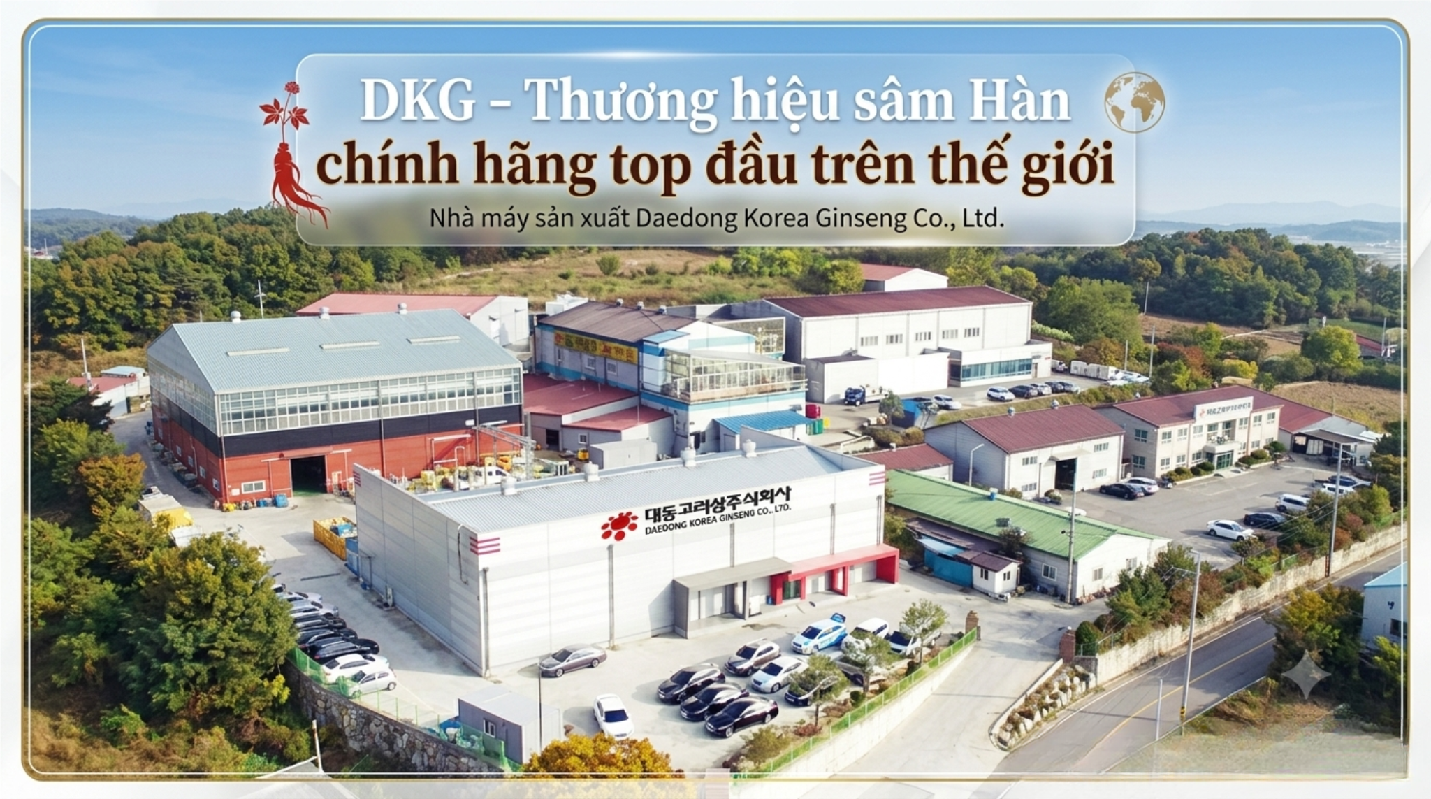 DKG - Thương hiệu sâm Hàn chính hãng top đầu trên thế giới
