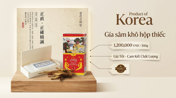Cập nhật bảng giá sâm khô hộp thiếc mới nhất 2026