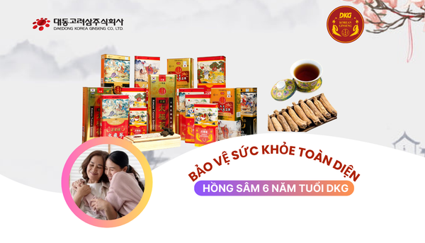 Sâm Khô Hộp Thiếc: Tiêu Chuẩn Vàng Của Hồng Sâm 6 Năm Tuổi