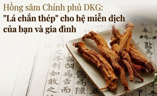 Hồng sâm Chính phủ: 