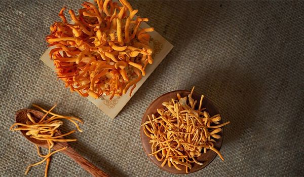 Phục hồi cơ thể thần tốc nhờ nước đông trùng hạ thảo Hàn Quốc mỗi ngày