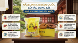 Nấm linh chi Hàn Quốc có tác dụng gì? 6 lợi ích vàng cho sức khỏe