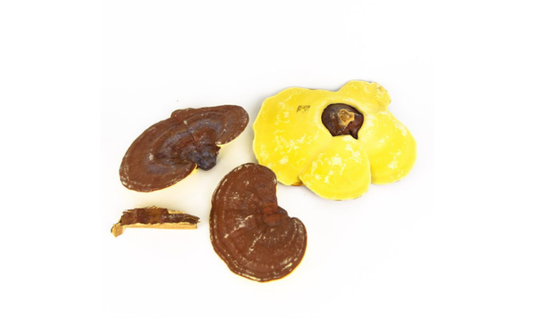 Khám phá bí mật 5000 năm của Nấm Linh Chi: Vì sao Vua chúa ngày xưa lại coi nó là báu vật?