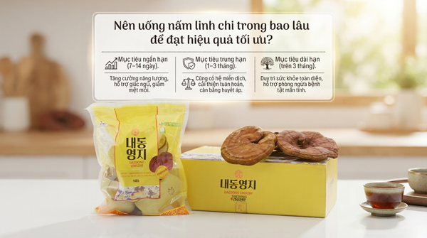 Nên uống nấm linh chi trong bao lâu để đạt hiệu quả tối ưu?