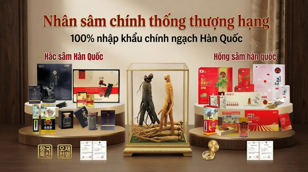 Nhân sâm chính thống thượng hạng - 100% nhập khẩu chính ngạch Hàn Quốc