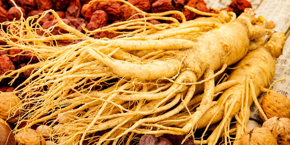 Sâm tươi Hàn Quốc: Tinh hoa từ vùng đất Geumsan