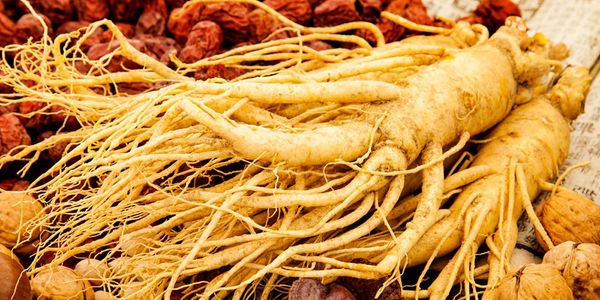 Sâm tươi Hàn Quốc: Tinh hoa từ vùng đất Geumsan