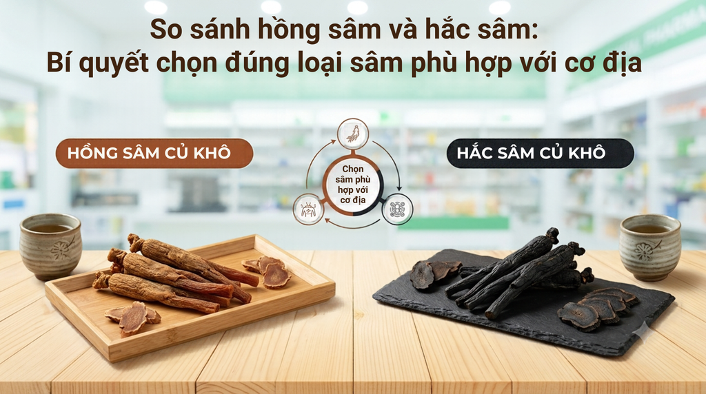 So sánh hồng sâm và hắc sâm: Bí quyết chọn đúng loại sâm phù hợp với cơ địa