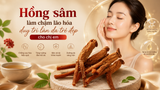 Tác dụng của hồng sâm với phụ nữ: 5 lợi ích nổi bật cho sức khỏe và sắc đẹp