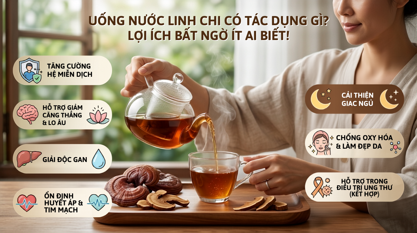 Uống nước linh chi có tác dụng gì? Lợi ích bất ngờ ít ai biết!