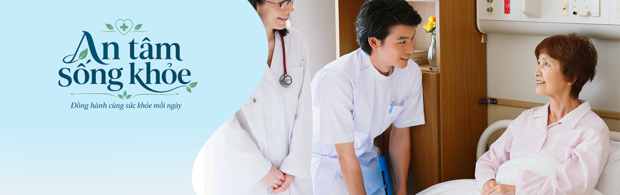 Hỗ trợ chuyển hóa, tuần hoàn, bảo vệ mạch máu