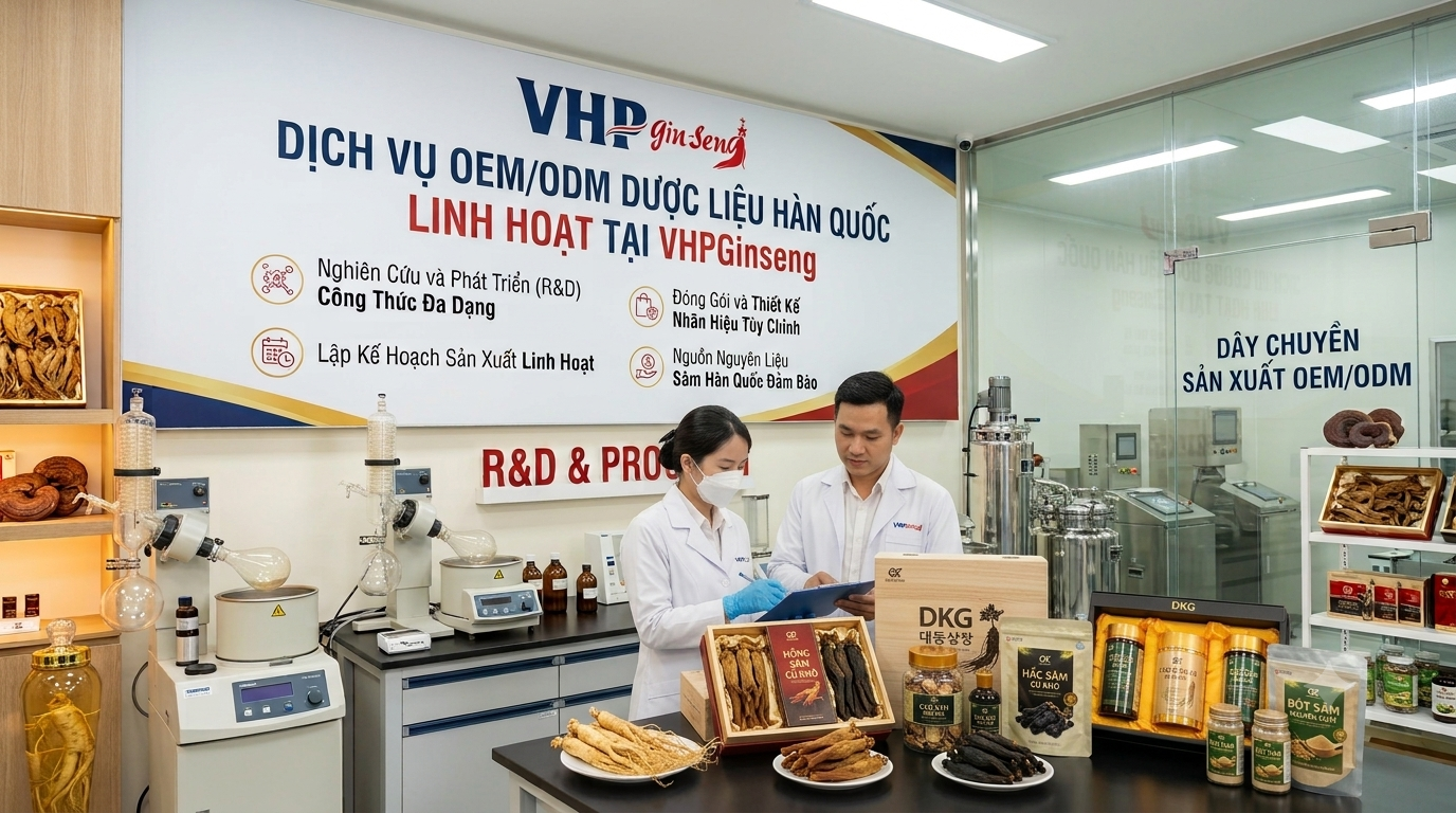 Dịch Vụ OEM/ODM Dược Liệu Hàn Quốc Linh Hoạt Tại VHPGinseng