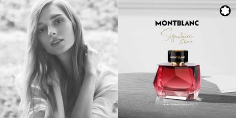 Montblanc Signature Elixir EDP: Bản tình ca của sự sang trọng và xa hoa