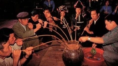 RƯỢU CẦN - LOẠI RƯỢU ĐỊA PHƯƠNG ĐỘC LẠ CỦA VIỆT NAM