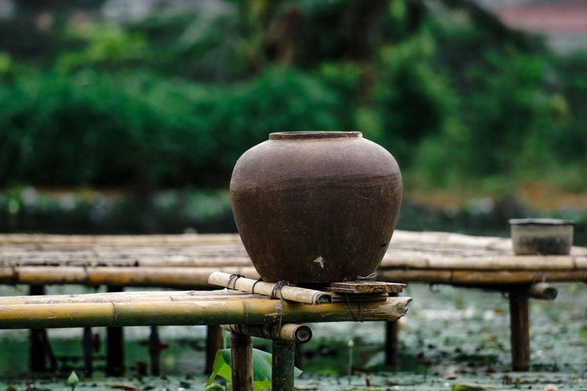 Chum sành đặt bên ao sen ở làng quê Việt