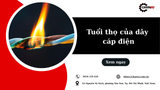 Tuổi thọ của dây cáp điện là bao lâu? Cách tăng độ bền hiệu quả