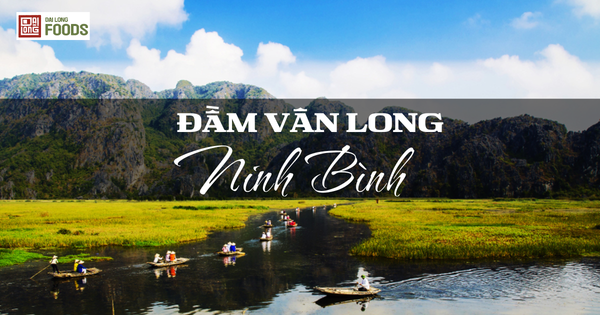 Đầm Vân Long Ninh Bình – Review chi tiết từ người bản địa 2025