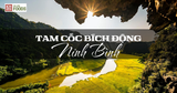Kinh nghiệm du lịch Tam Cốc Bích Động Ninh Bình 2026 đầy đủ nhất