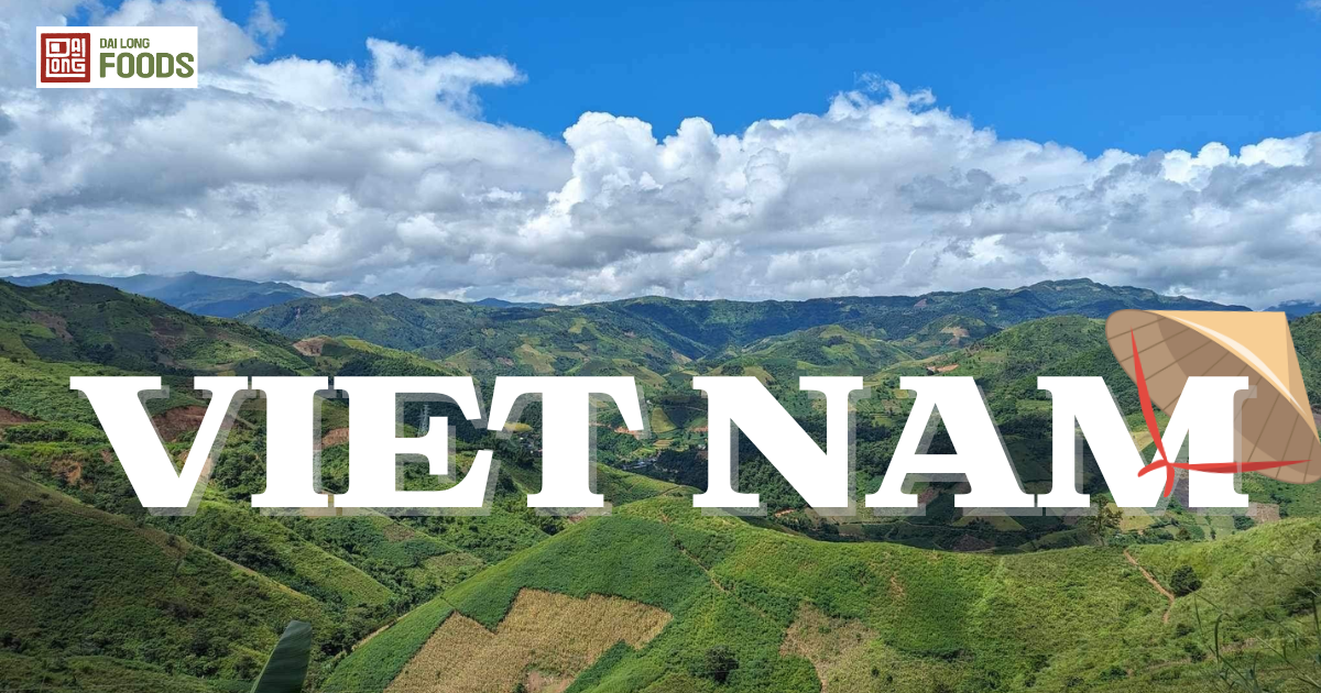 Top 10 điểm đến du lịch hấp dẫn nhất Việt Nam 2025