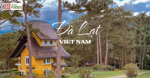 Kinh nghiệm du lịch Đà Lạt 2025: Lịch trình, chi phí & điểm đến hot