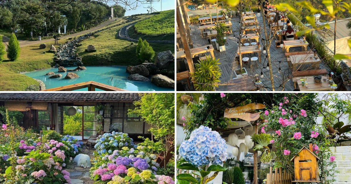 Top 10 quán cafe Đà Lạt view đẹp cực chill cho hội sống ảo (2025)