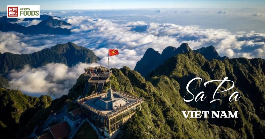 Săn mây Sapa: 7 địa điểm đẹp nhất để ngắm mây trôi bồng bềnh giữa núi rừng Tây Bắc