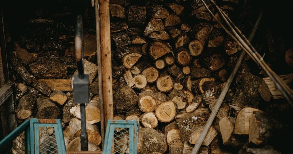 Gỗ Tần Bì (Ash) Là Gì? Cách Phân Biệt Gỗ Tần Bì Và Gỗ Sồi