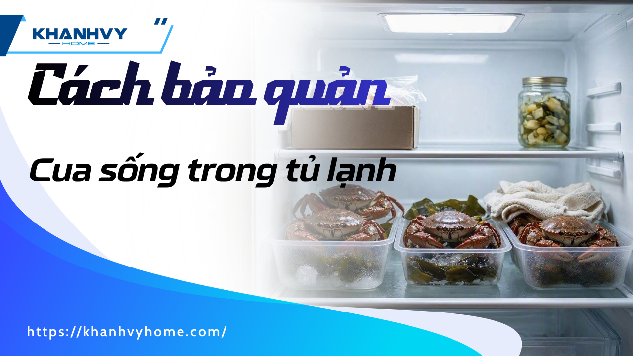 Cách bảo quản cua sống trong tủ lạnh tươi ngon, chắc thịt