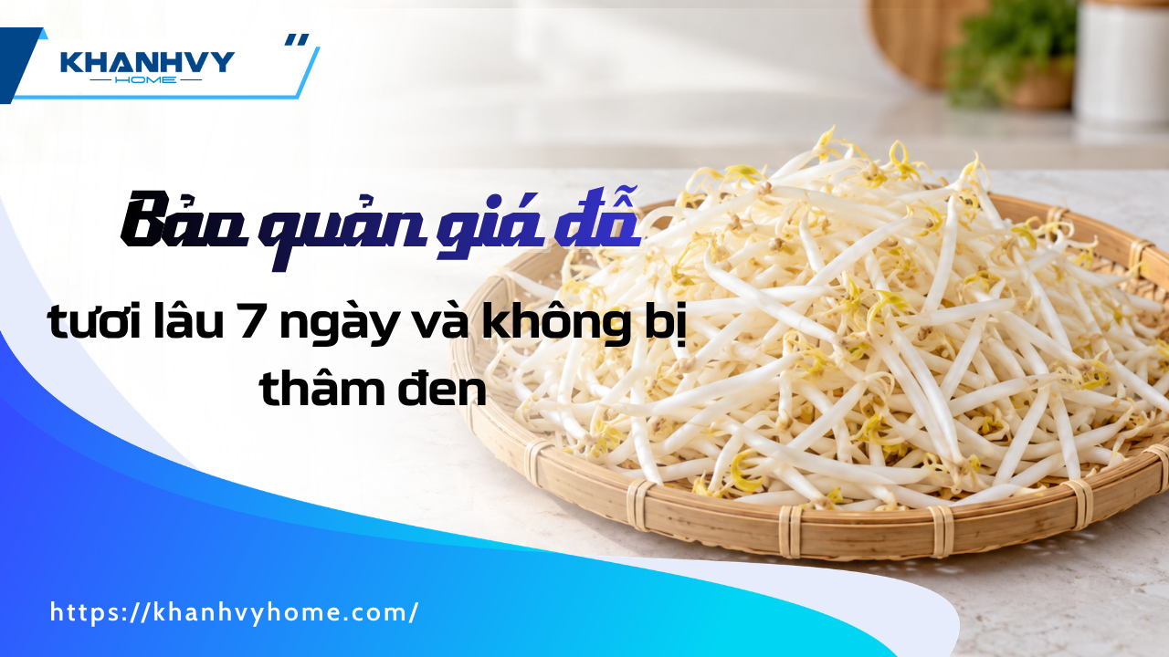Cách bảo quản giá đỗ tươi lâu 7 ngày và không bị thâm đen