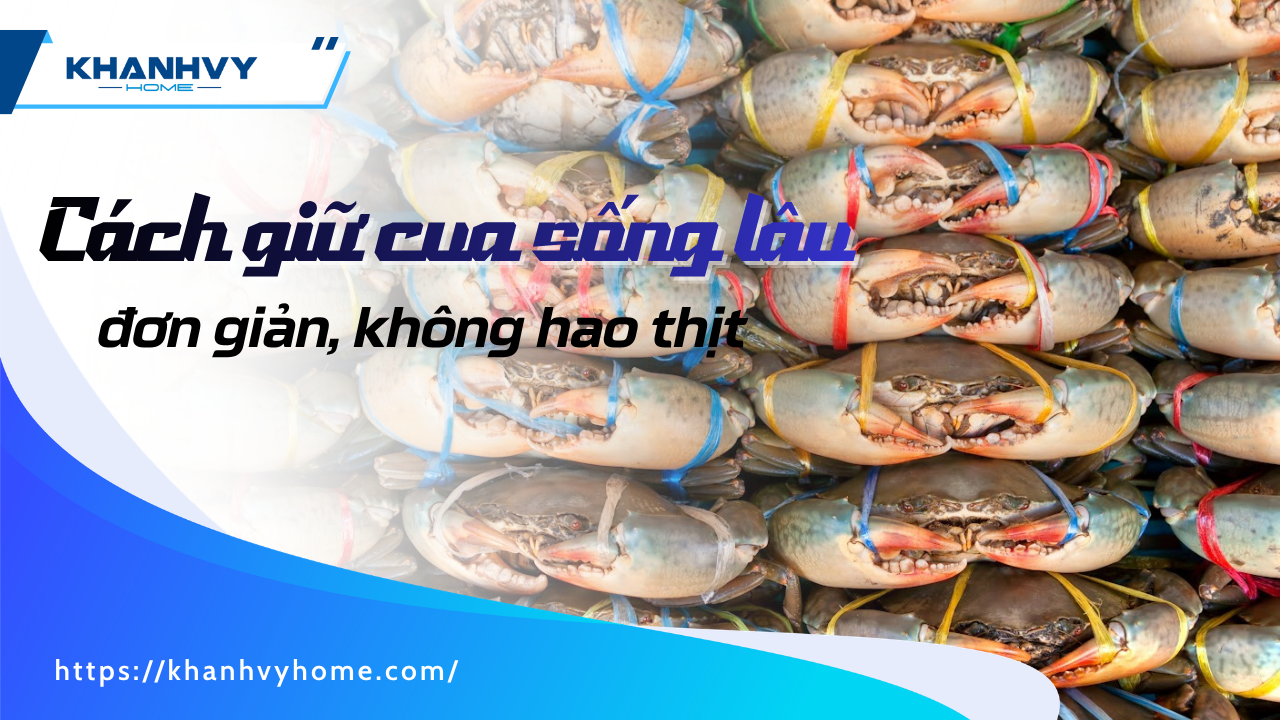Cách giữ cua sống lâu, không bị hao thịt đơn giản