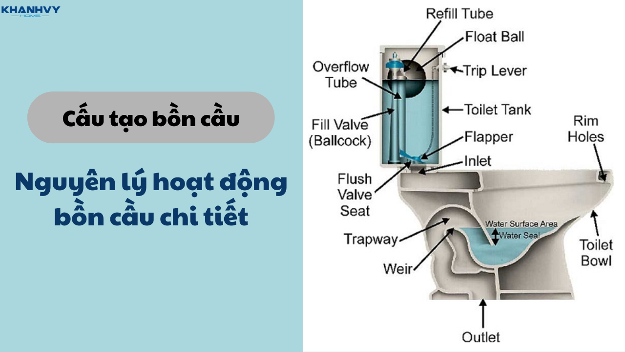 Cấu tạo bồn cầu và nguyên lý hoạt động bồn cầu chi tiết