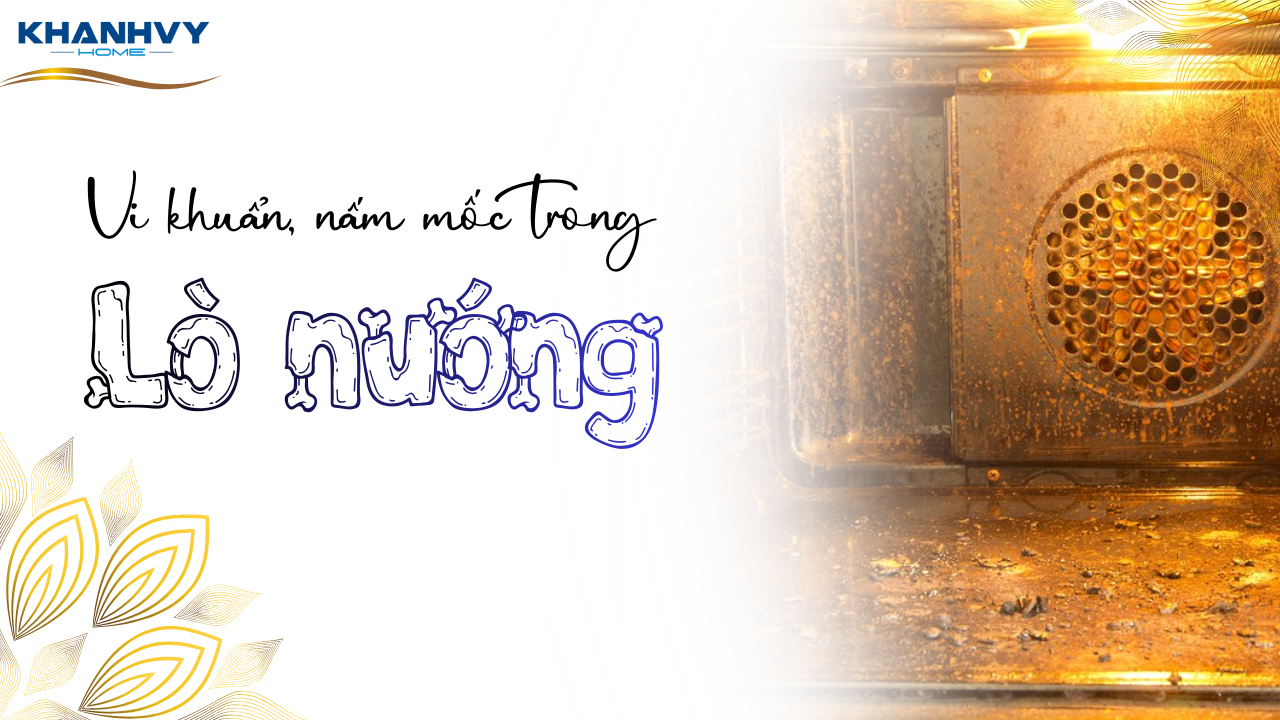 Vi khuẩn, nấm mốc trong lò nướng bẩn ảnh hưởng sức khỏe