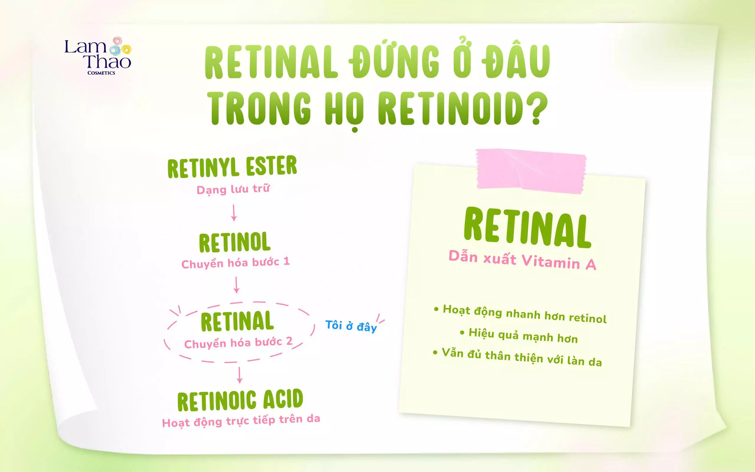 retinal là gì