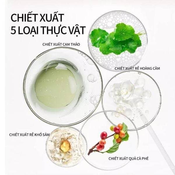 Kem Lót Kiềm Dầu Dưỡng Ẩm Jejo Moisturizing Oil Control Primer