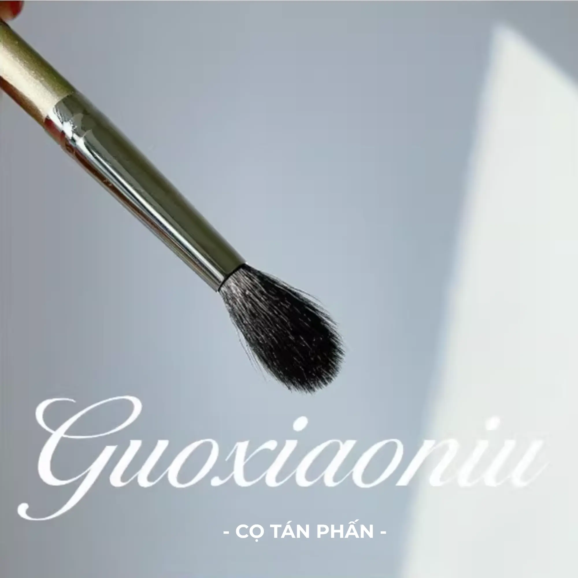 cọ tán phấn guoxiaoniu 324