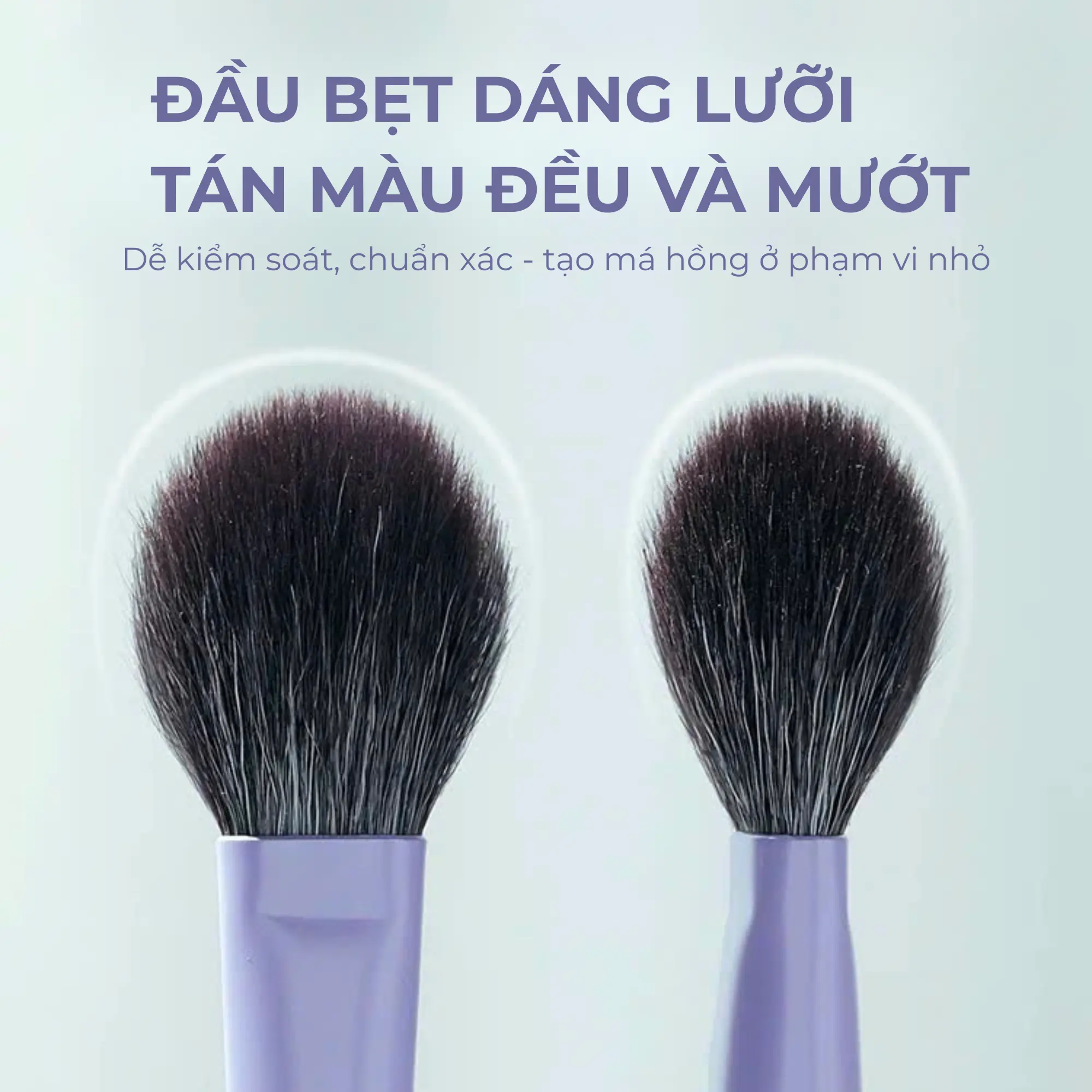 cọ má hồng guoxiaoniu t031