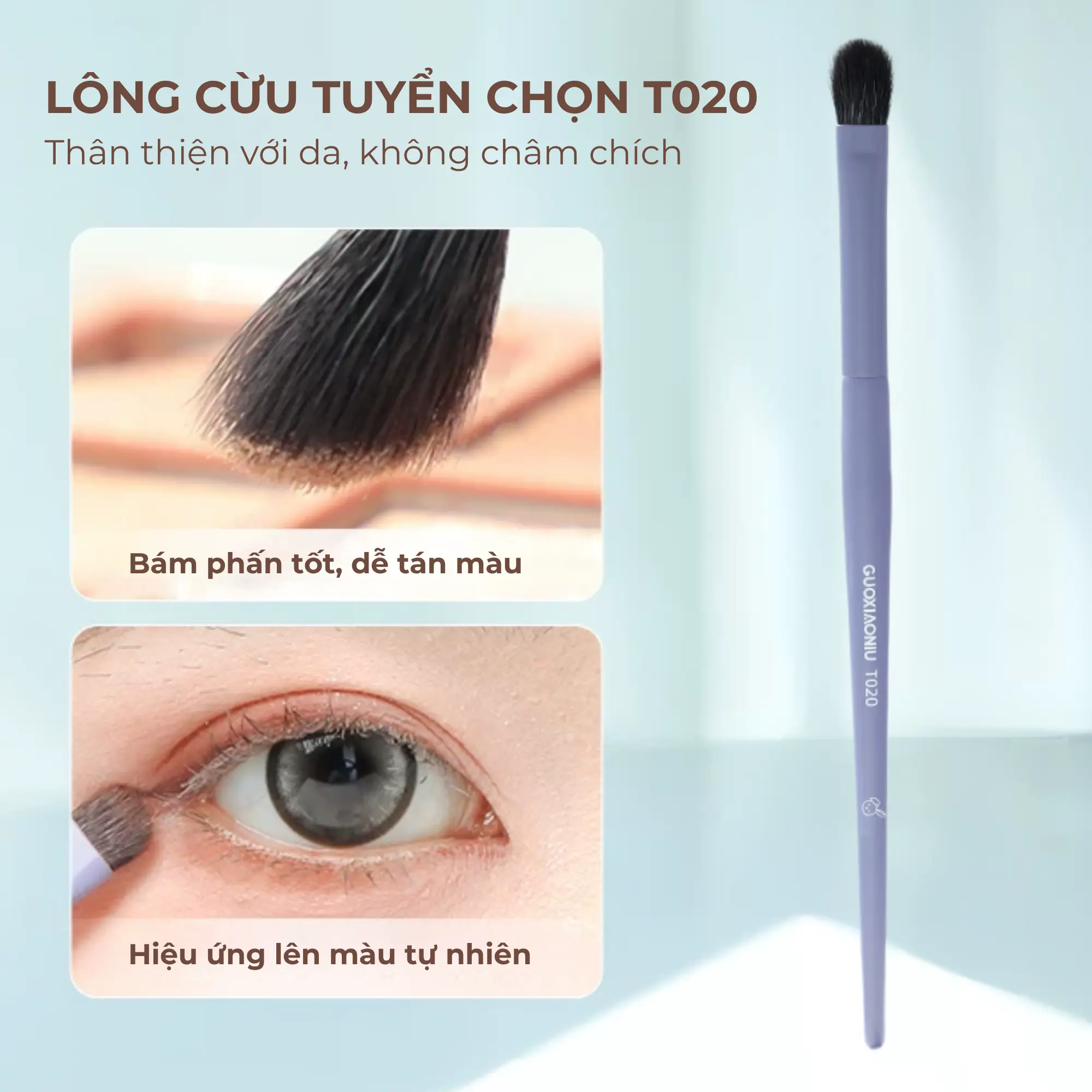 cọ tán mắt guoxiaoniu t020