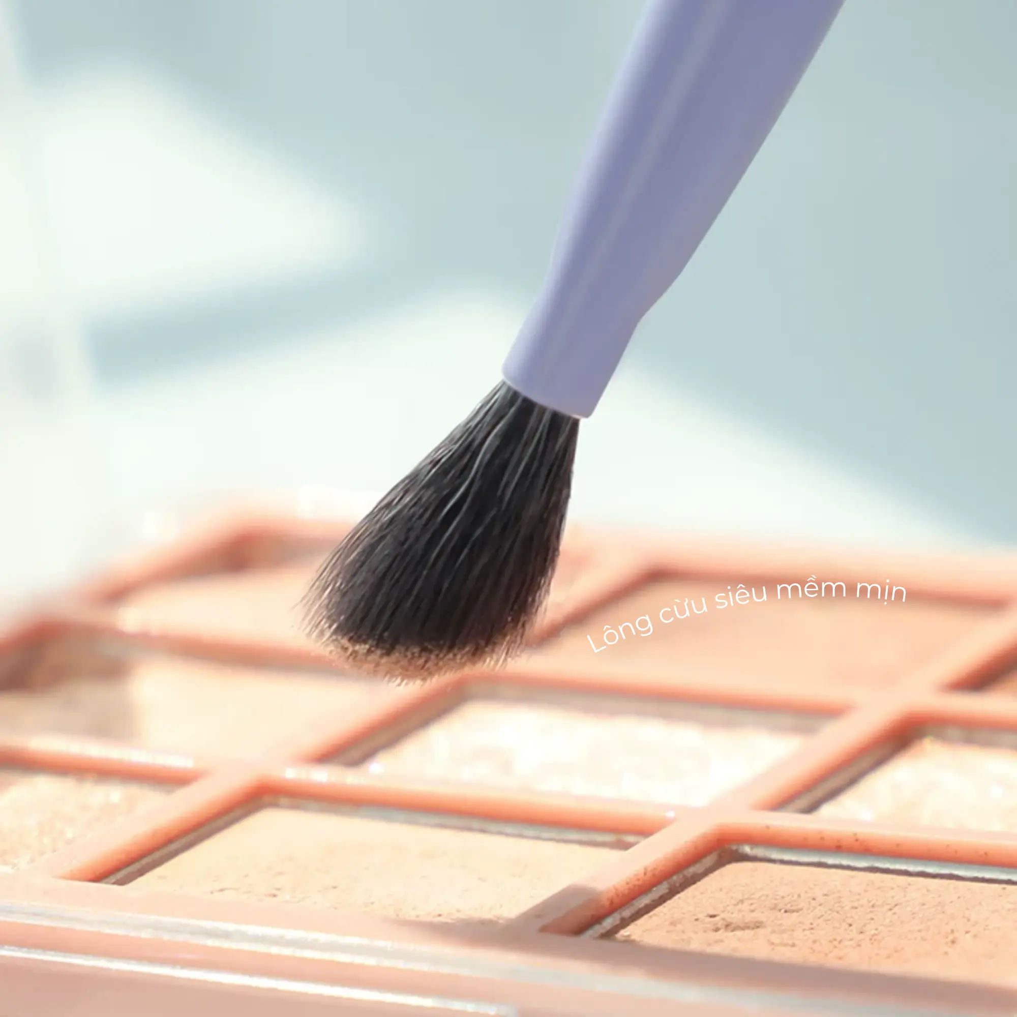 cọ tán mắt guoxiaoniu t020