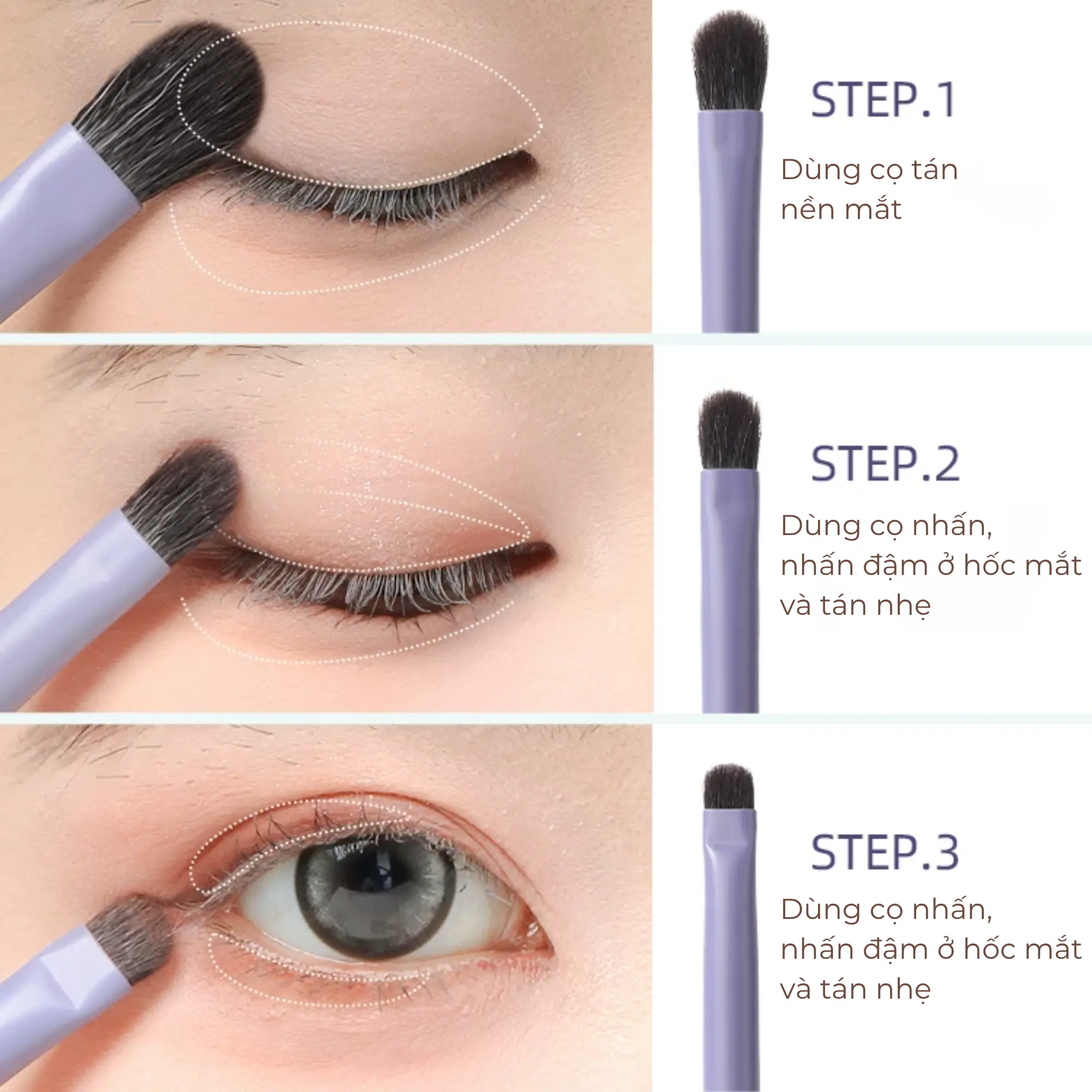 cọ tán mắt guoxiaoniu t020