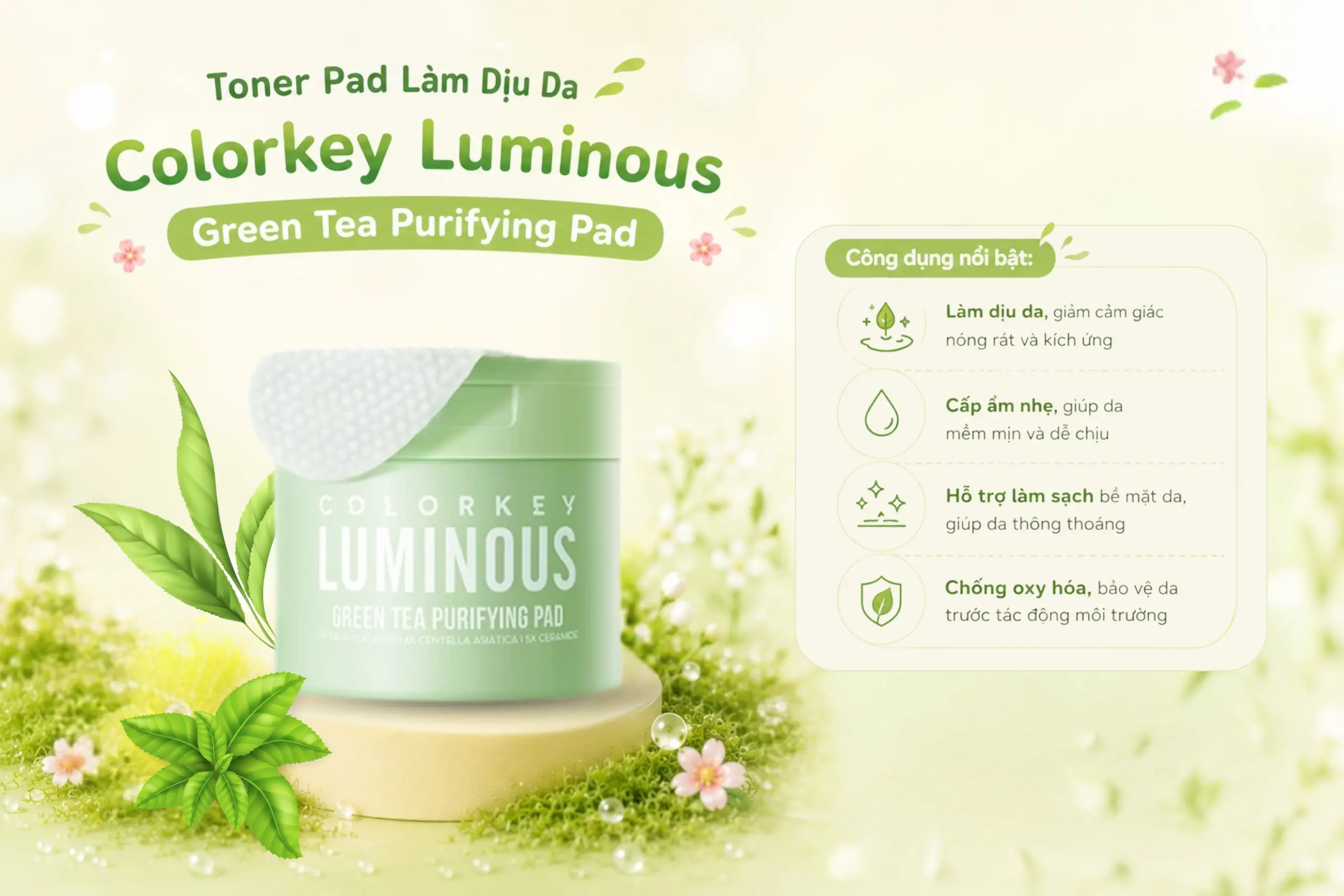 toner pad là gì