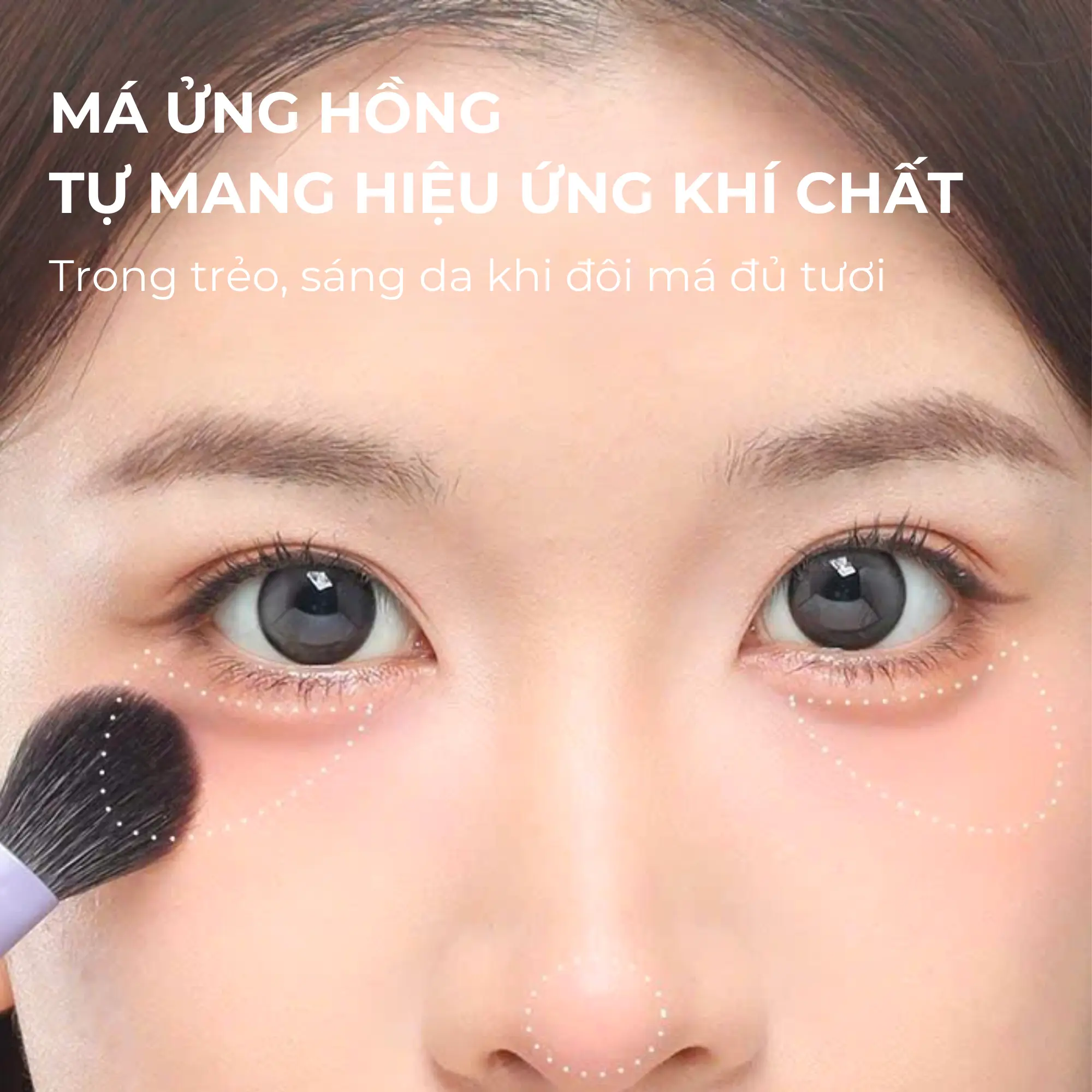cọ má hồng guoxiaoniu t031