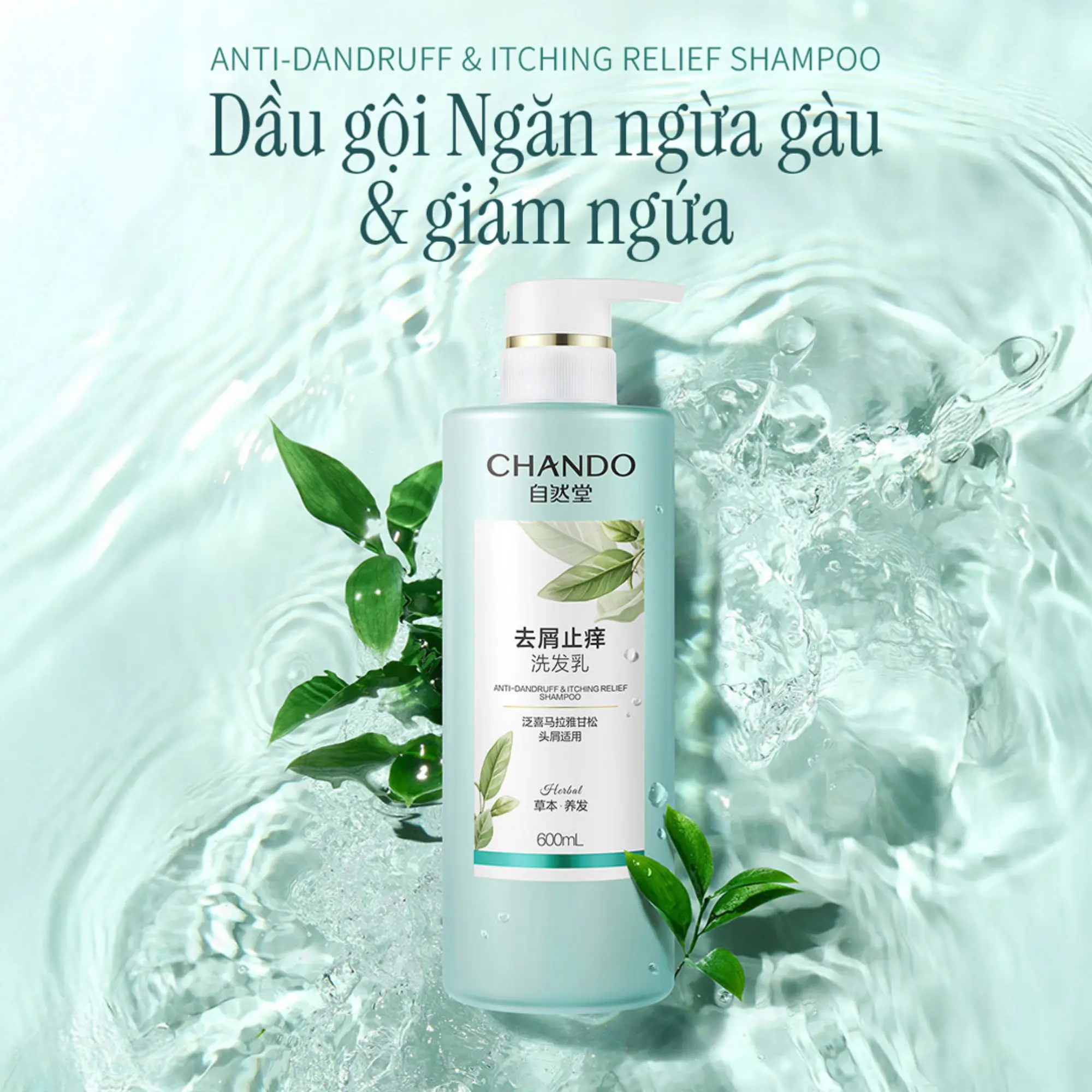 dầu gội sạch gàu giảm ngứa chando