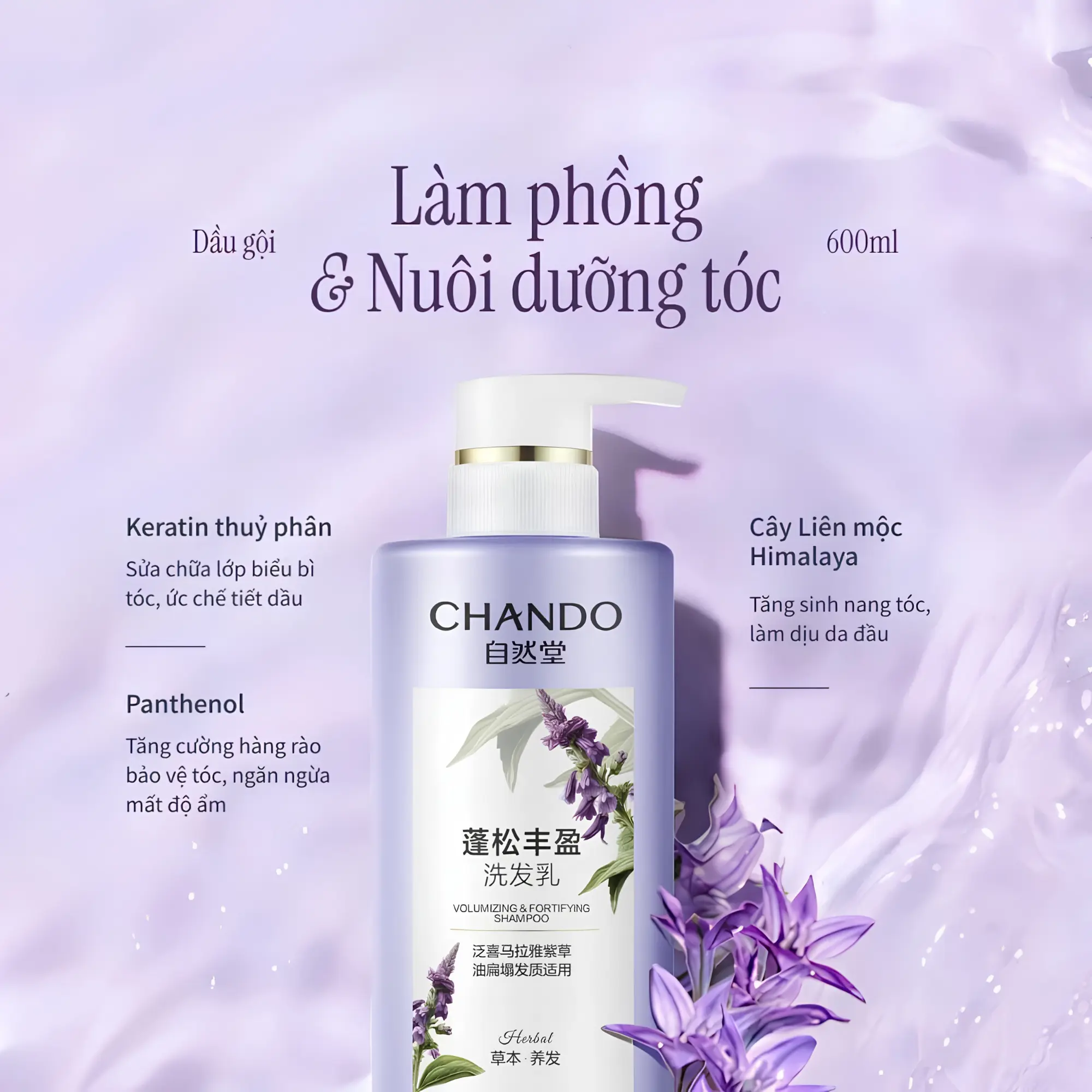 dầu gội phồng tóc Chando