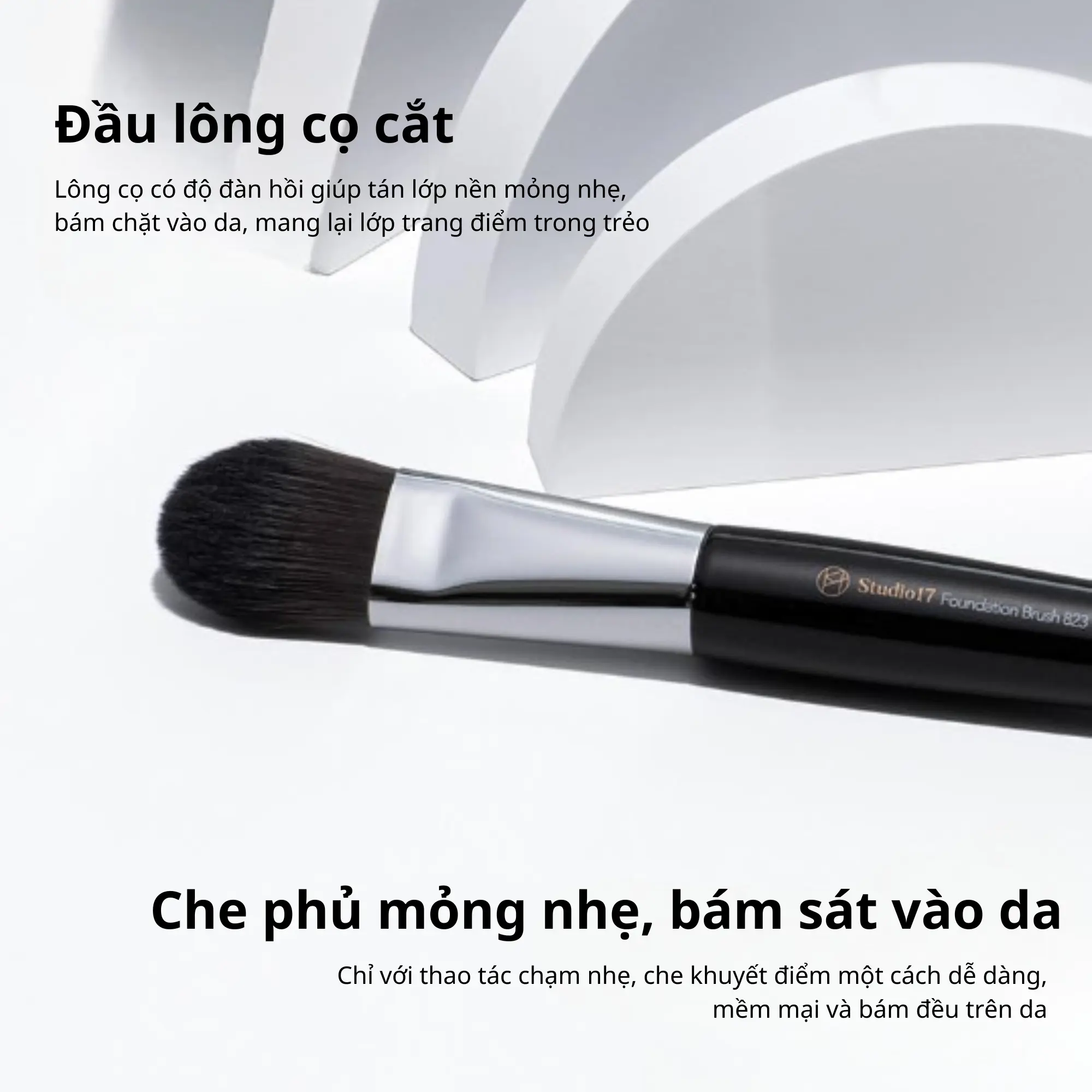 cọ tán nền 823 studio17