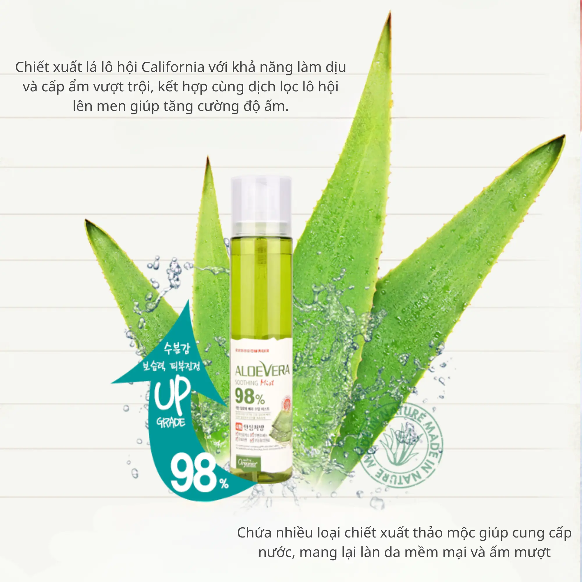 xịt khoáng lô hội 98%