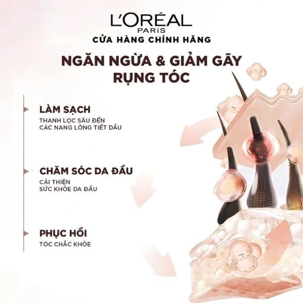 Dầu Xả Giảm Rụng Tóc Loreal Paris Full Resist Detangling Conditioner