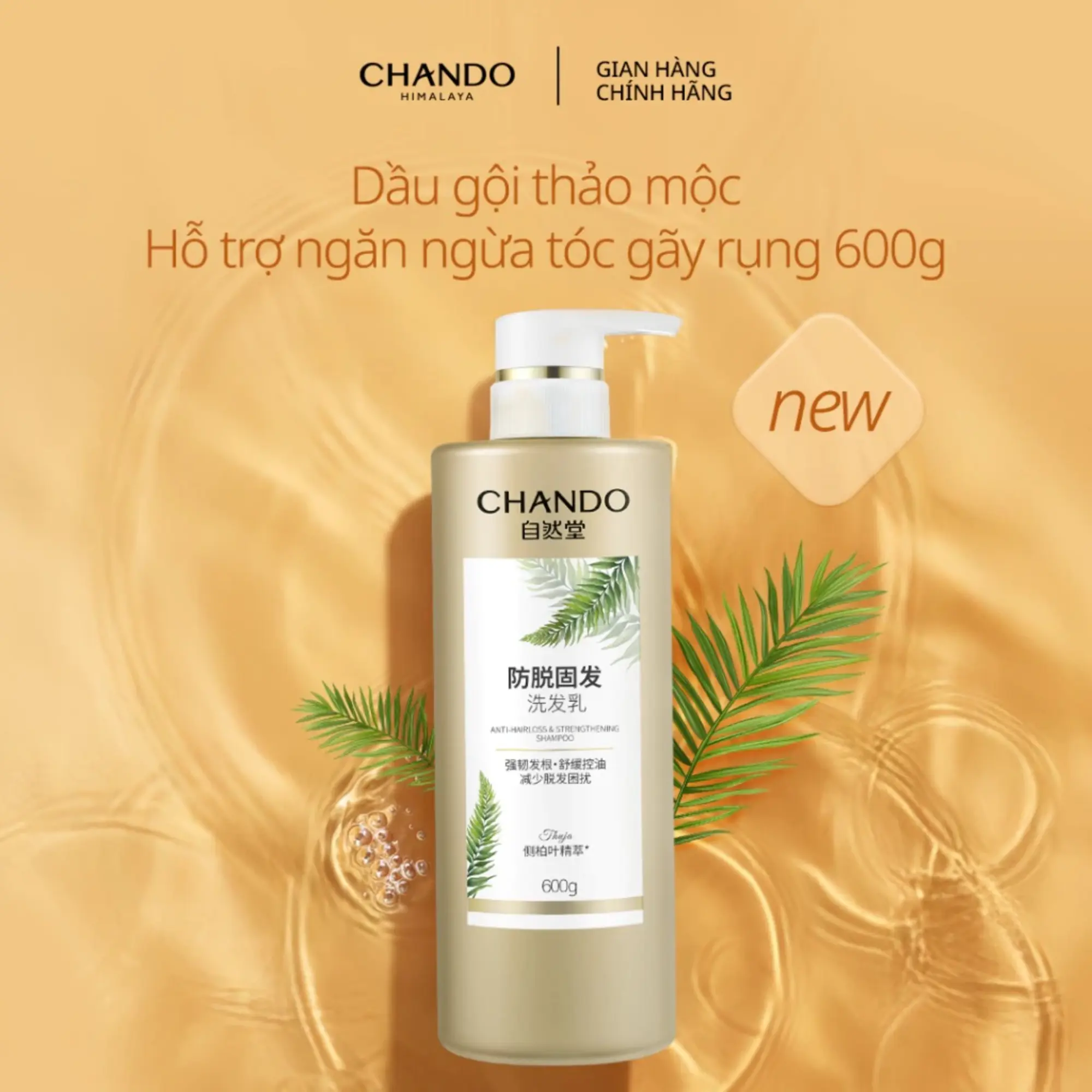 dầu gội giảm gãy rụng Chando