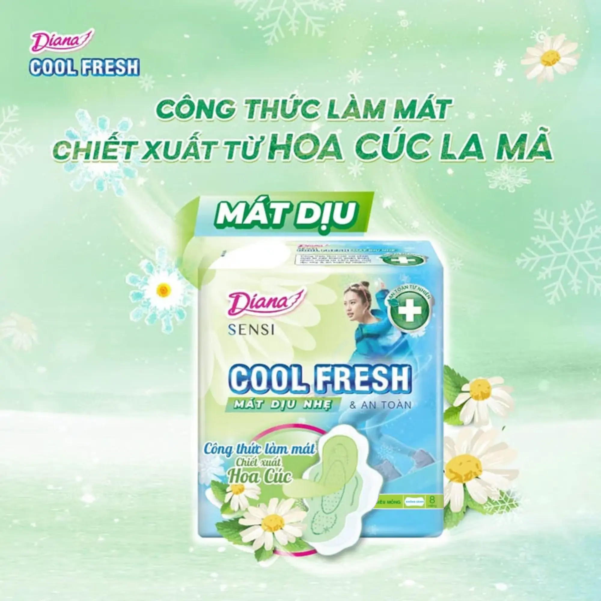 diana cool fresh cúc la mã