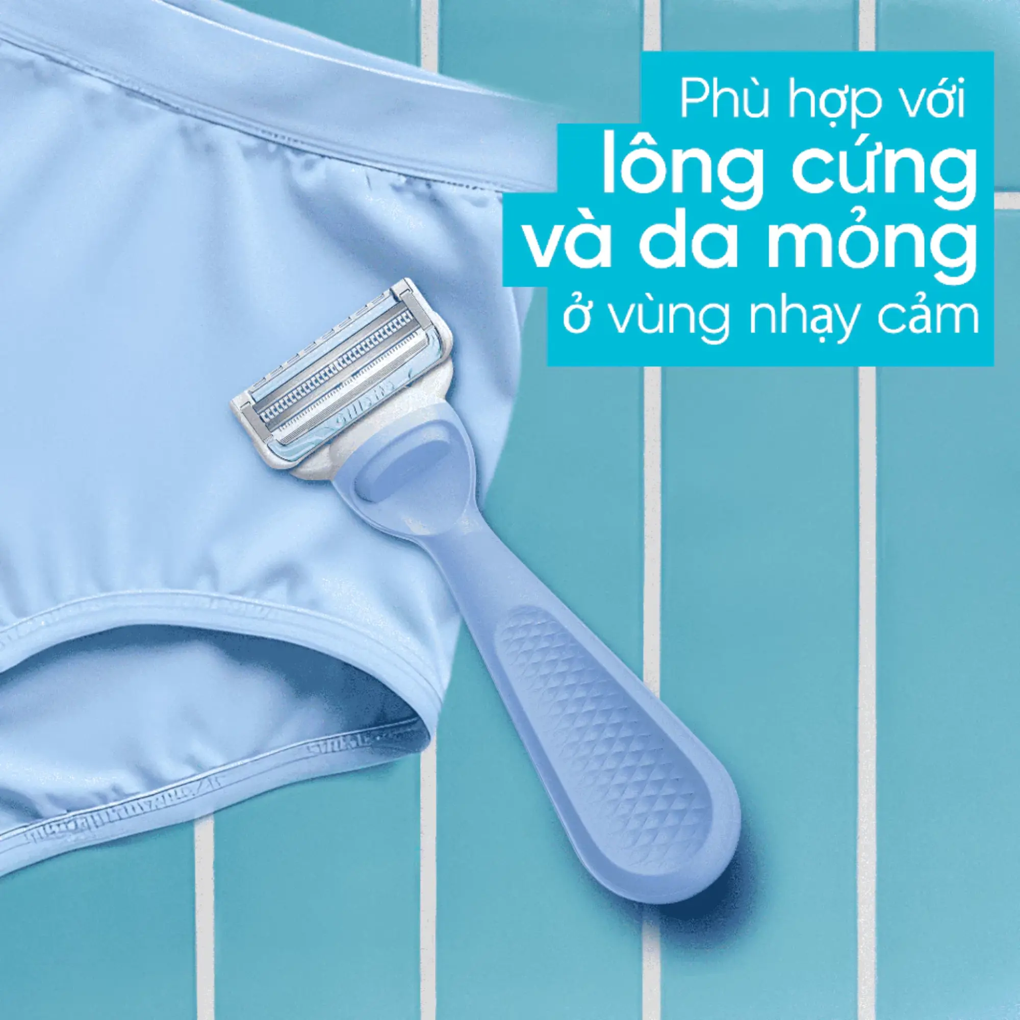 Combo dao cạo Gillette