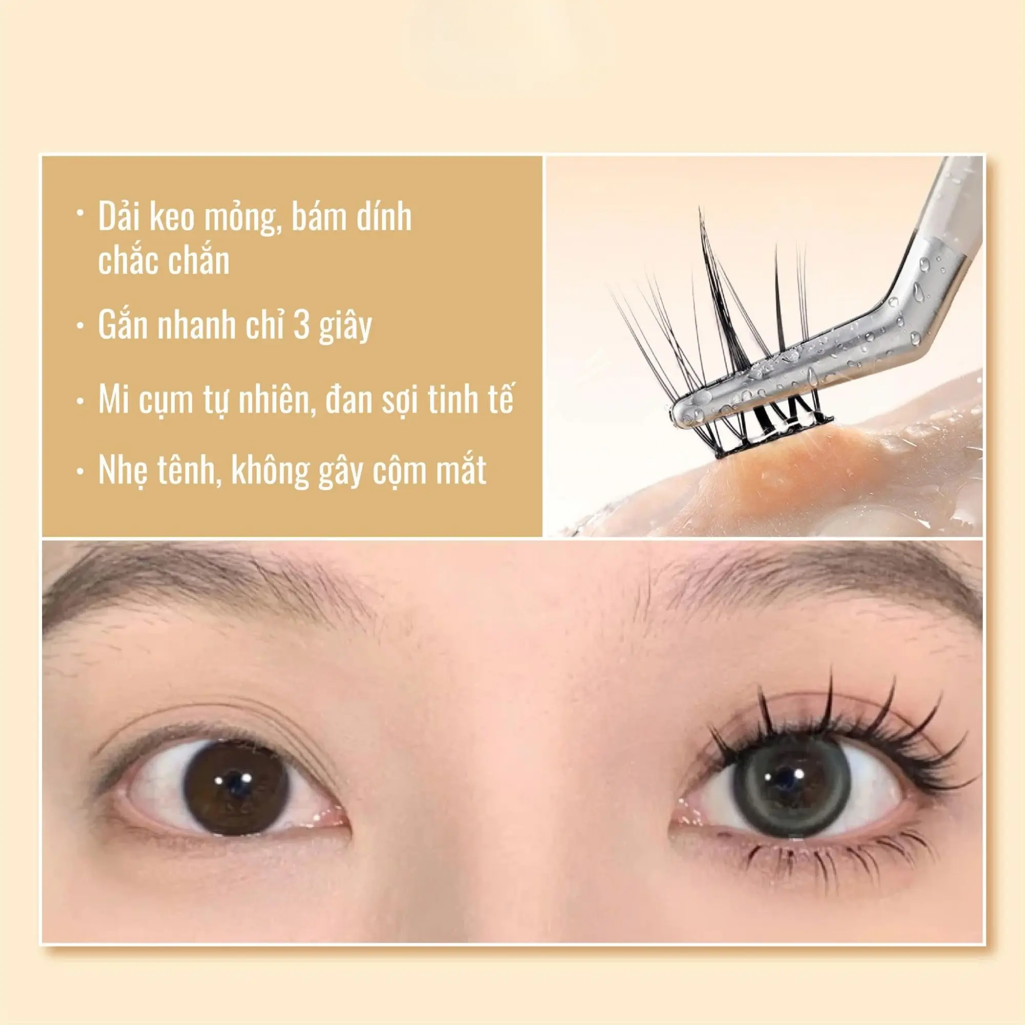 mi giả sẵn keo Jary